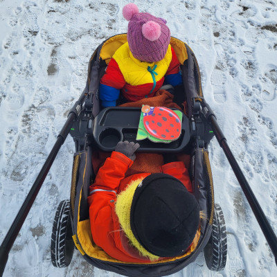 O and F sitting in their wagon as we walk through some light snow